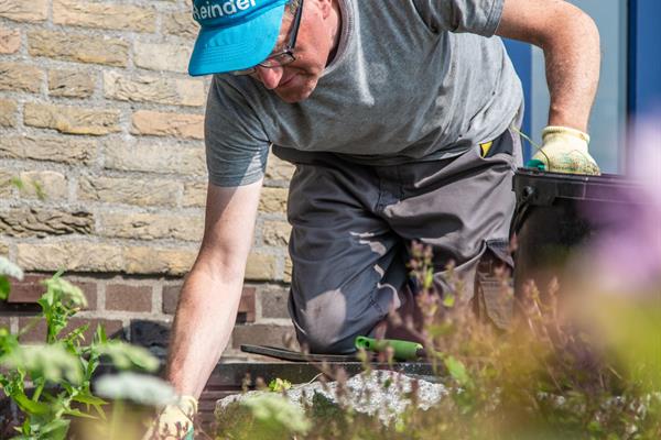 Zelfstandig wonen dorp | Kensoor wonen en dagbesteding